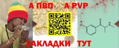 Альфа ПВП Владикавказ