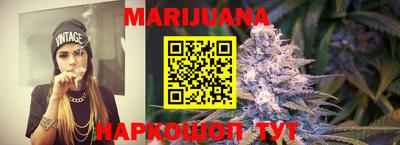 Альфа ПВП Владикавказ