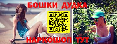 Альфа ПВП Владикавказ