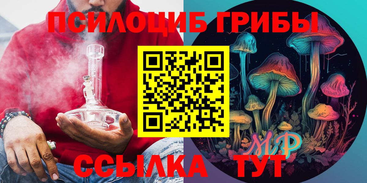 Галлюциногенные грибы Magic Shrooms  где найти наркотики  Галлюциногенные грибы прущие грибы  Губкин  Вход с VPN 